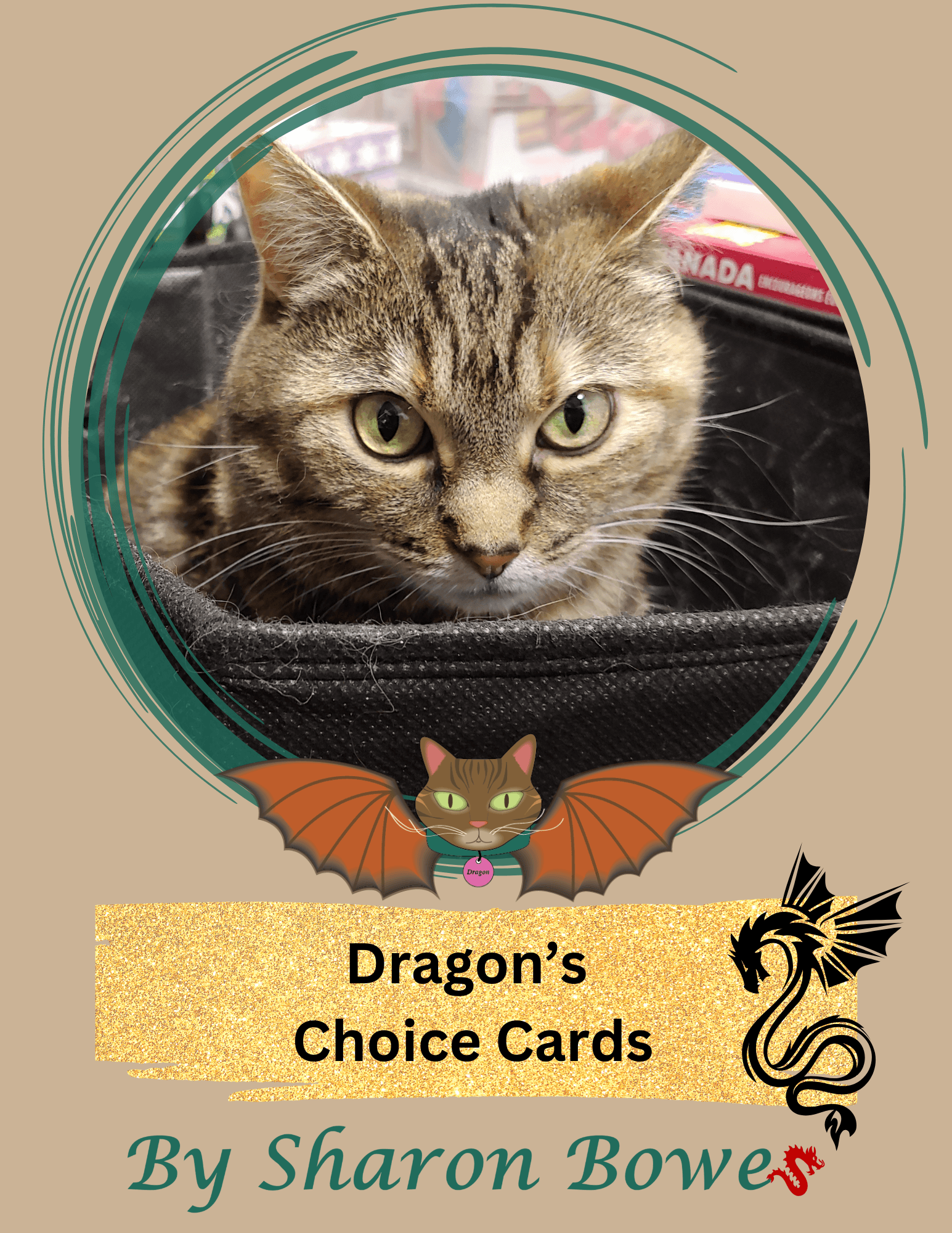 Dragon's Choice Cards